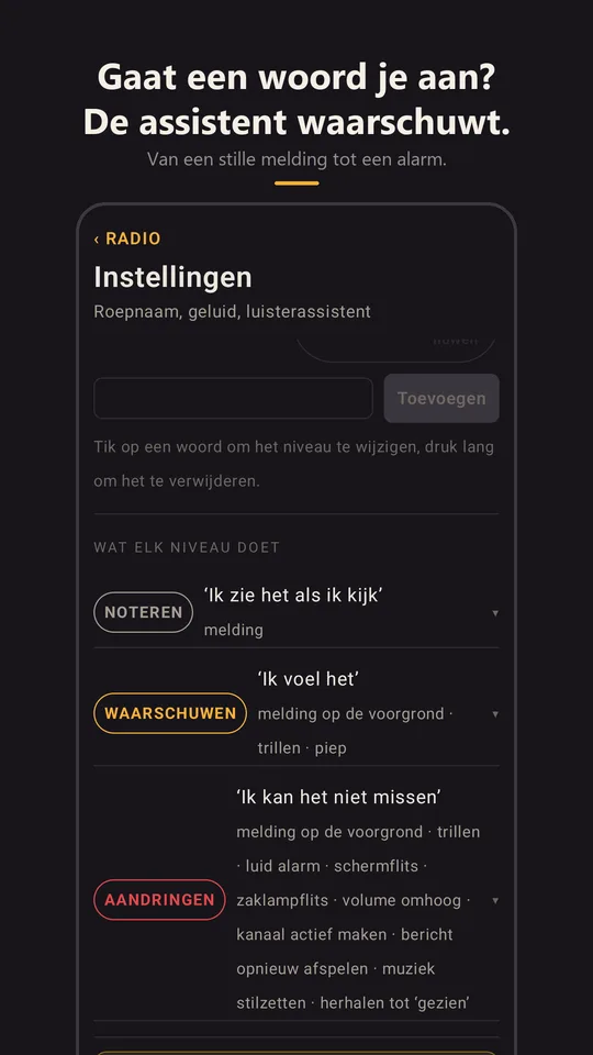 De luisterassistent met sleutelwoorden in de instellingen